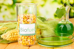 Chute Standen biofuel availability