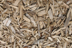 biomass boilers Chute Standen